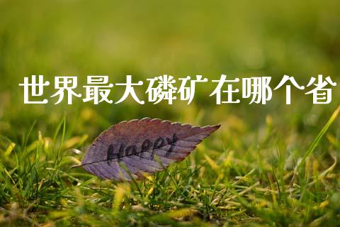 世界最大磷矿在哪个省_https://m.fansifence.com_个股行情_第1张