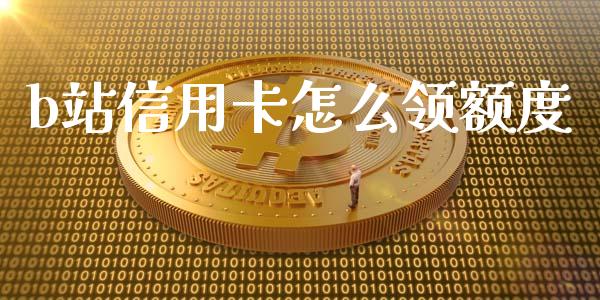 b站信用卡怎么领额度_https://m.fansifence.com_贵金属行情_第1张