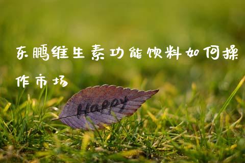 东鹏维生素功能饮料如何操作市场_https://m.fansifence.com_贵金属行情_第1张