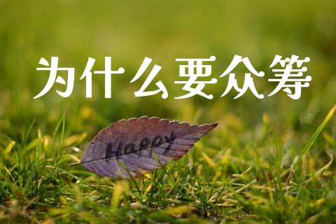 为什么要众筹_https://m.fansifence.com_公募基金_第1张
