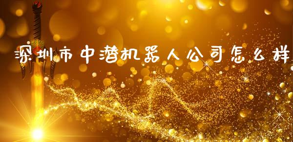 深圳市中潜机器人公司怎么样_https://m.fansifence.com_消费金融_第1张