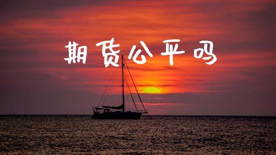 期货公平吗_https://m.fansifence.com_公募基金_第1张