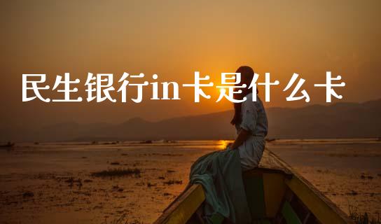 民生银行in卡是什么卡_https://m.fansifence.com_消费金融_第1张