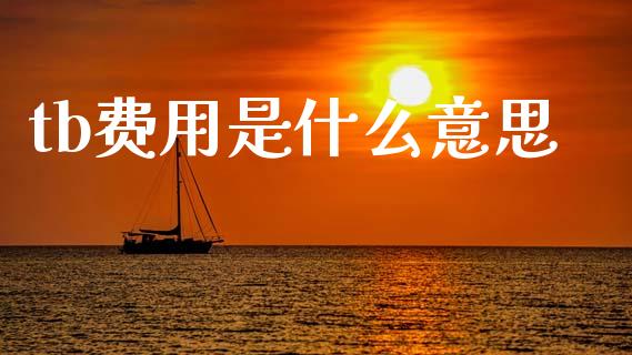 tb费用是什么意思_https://m.fansifence.com_公募基金_第1张