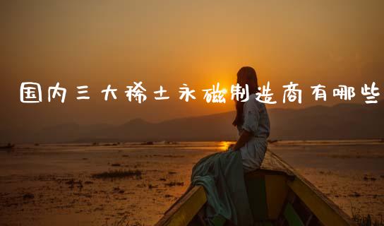 国内三大稀土永磁制造商有哪些_https://m.fansifence.com_公募基金_第1张
