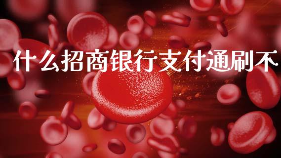 什么招商银行支付通刷不_https://m.fansifence.com_消费金融_第1张