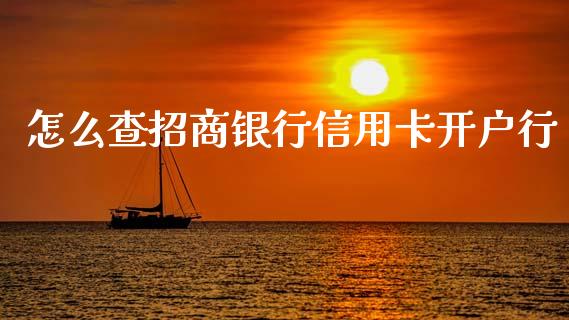 怎么查招商银行信用卡开户行_https://m.fansifence.com_贵金属行情_第1张
