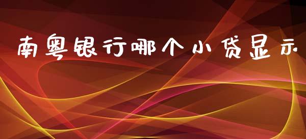 南粤银行哪个小贷显示_https://m.fansifence.com_消费金融_第1张