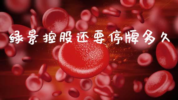 绿景控股还要停牌多久_https://m.fansifence.com_贵金属行情_第1张