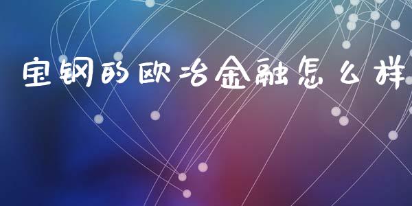 宝钢的欧冶金融怎么样_https://m.fansifence.com_个股行情_第1张