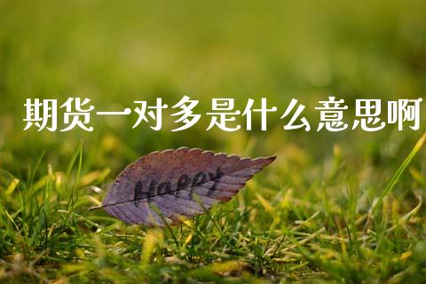 期货一对多是什么意思啊_https://m.fansifence.com_个股行情_第1张