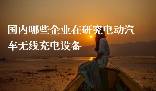 国内哪些企业在研究电动汽车无线充电设备_https://m.fansifence.com_公募基金_第1张