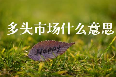 多头市场什么意思_https://m.fansifence.com_公募基金_第1张
