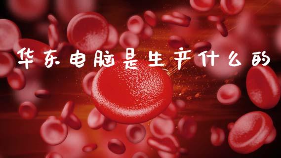华东电脑是生产什么的_https://m.fansifence.com_公募基金_第1张