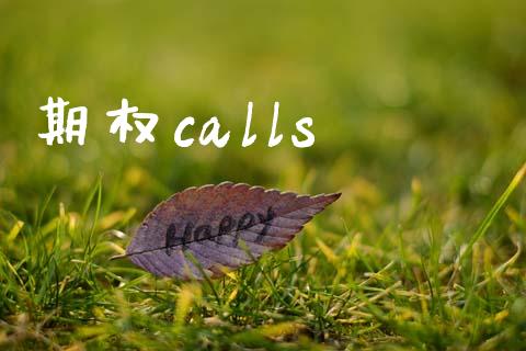 期权calls_https://m.fansifence.com_消费金融_第1张