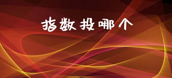 指数投哪个_https://m.fansifence.com_消费金融_第1张