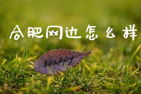 合肥网达怎么样_https://m.fansifence.com_贵金属行情_第1张