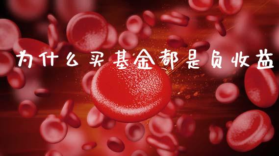 为什么买基金都是负收益_https://m.fansifence.com_贵金属行情_第1张