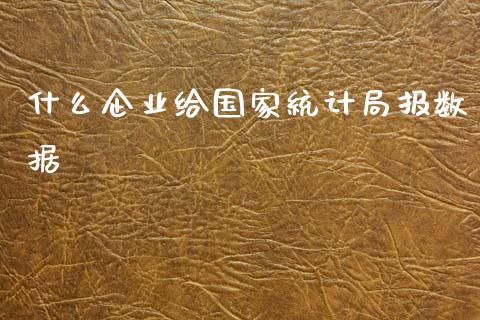 什么企业给国家统计局报数据_https://m.fansifence.com_公募基金_第1张