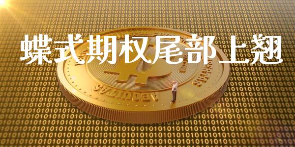 蝶式期权尾部上翘_https://m.fansifence.com_公募基金_第1张