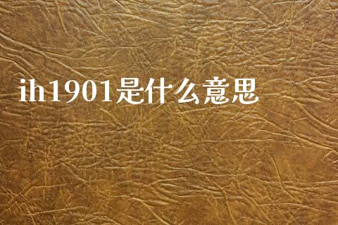 ih1901是什么意思_https://m.fansifence.com_个股行情_第1张