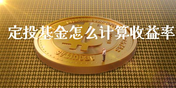 定投基金怎么计算收益率_https://m.fansifence.com_公募基金_第1张
