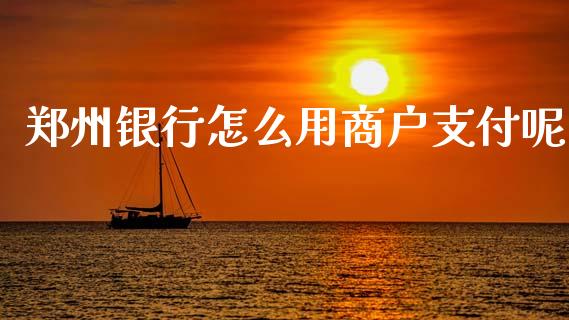 郑州银行怎么用商户支付呢_https://m.fansifence.com_公募基金_第1张