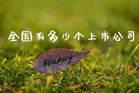 全国有多少个上市公司_https://m.fansifence.com_贵金属行情_第1张