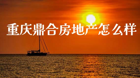 重庆鼎合房地产怎么样_https://m.fansifence.com_公募基金_第1张