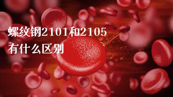 螺纹钢2101和2105有什么区别_https://m.fansifence.com_消费金融_第1张