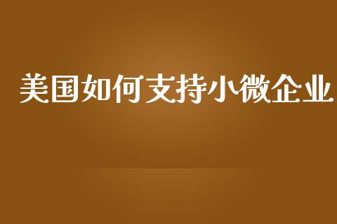 美国如何支持小微企业_https://m.fansifence.com_公募基金_第1张
