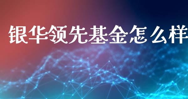 银华领先基金怎么样_https://m.fansifence.com_消费金融_第1张