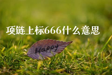 项链上标666什么意思_https://m.fansifence.com_公募基金_第1张