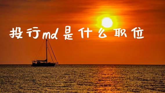 投行md是什么职位_https://m.fansifence.com_个股行情_第1张