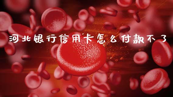 河北银行信用卡怎么付款不了_https://m.fansifence.com_个股行情_第1张