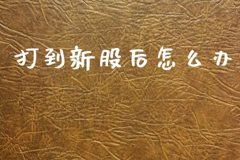 打到新股后怎么办_https://m.fansifence.com_消费金融_第1张