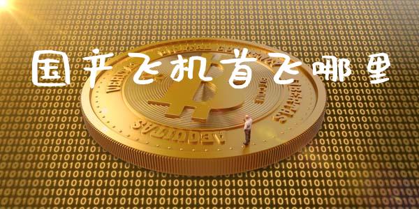 国产飞机首飞哪里_https://m.fansifence.com_公募基金_第1张