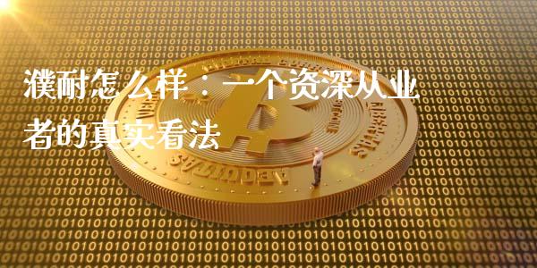 濮耐怎么样：一个资深从业者的真实看法_https://m.fansifence.com_贵金属行情_第1张