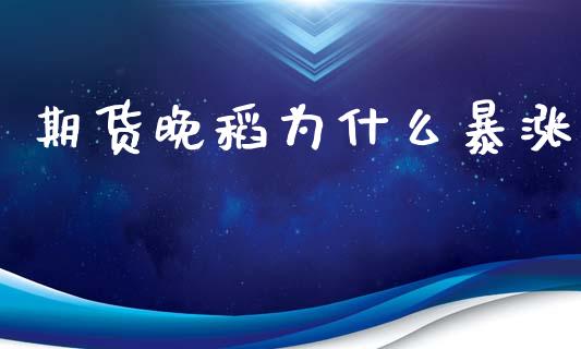 期货晚稻为什么暴涨_https://m.fansifence.com_公募基金_第1张