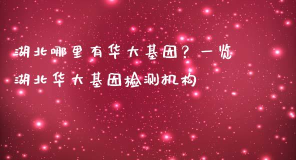 湖北哪里有华大基因？一览湖北华大基因检测机构_https://m.fansifence.com_公募基金_第1张