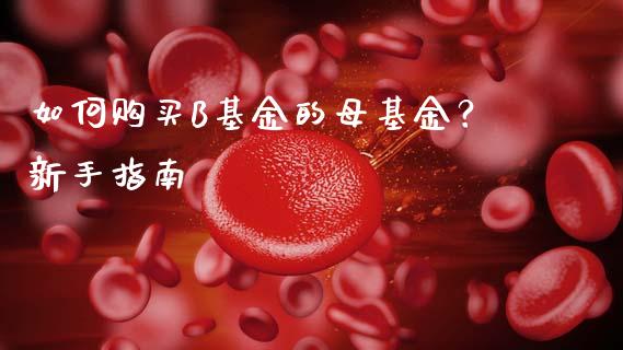 如何购买B基金的母基金？新手指南_https://m.fansifence.com_贵金属行情_第1张