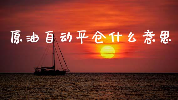 原油自动平仓什么意思_https://m.fansifence.com_消费金融_第1张