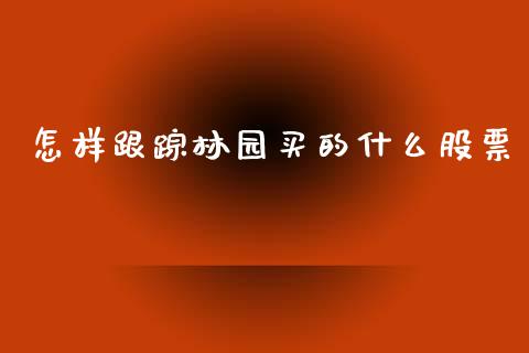 怎样跟踪林园买的什么股票_https://m.fansifence.com_消费金融_第1张