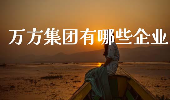 万方集团有哪些企业_https://m.fansifence.com_消费金融_第1张