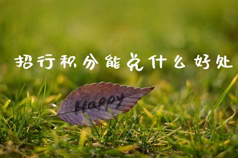 招行积分能兑什么好处_https://m.fansifence.com_贵金属行情_第1张