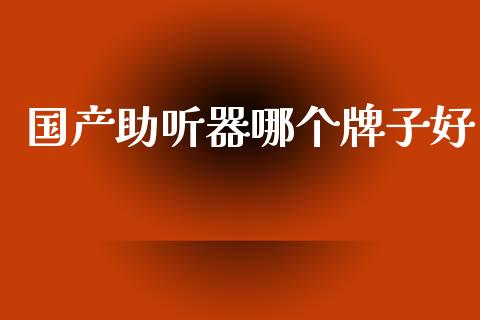 国产助听器哪个牌子好_https://m.fansifence.com_公募基金_第1张