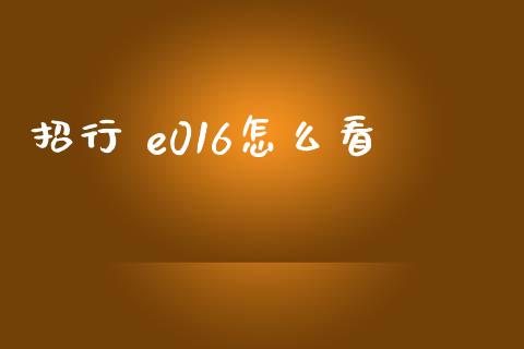 招行 e016怎么看_https://m.fansifence.com_公募基金_第1张