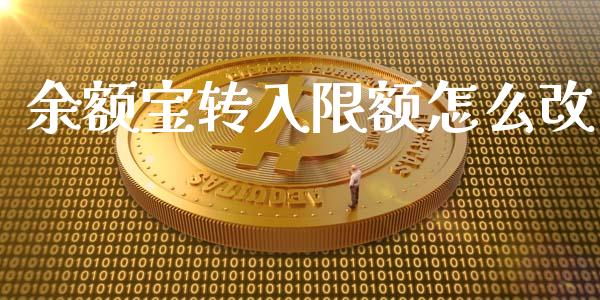 余额宝转入限额怎么改_https://m.fansifence.com_消费金融_第1张