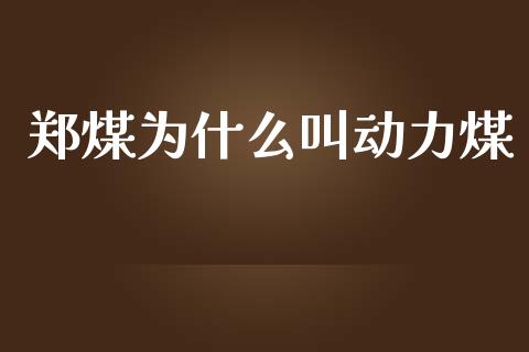 郑煤为什么叫动力煤_https://m.fansifence.com_个股行情_第1张