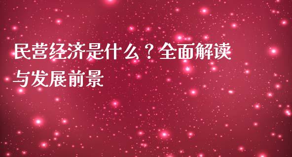民营经济是什么？全面解读与发展前景_https://m.fansifence.com_公募基金_第1张